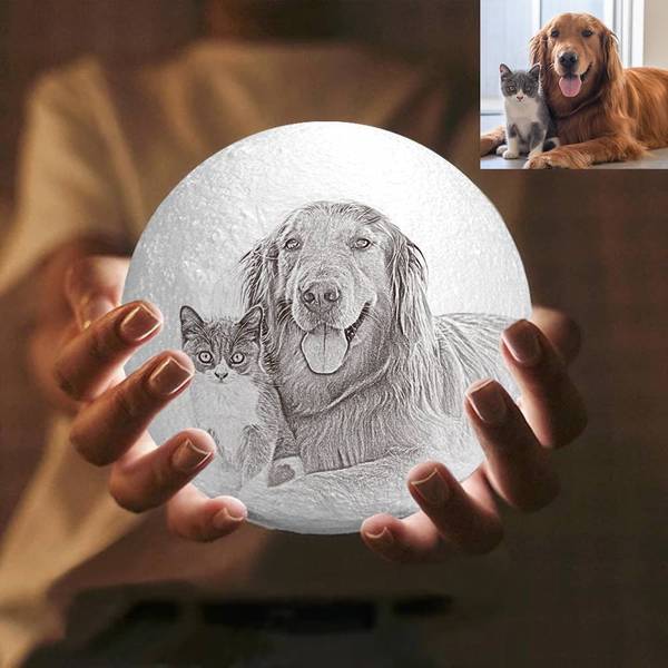 Custom 3D Moon Lamp, Personalized Gift With Your Pet Photo, Desk Light, 3 Colors With Stand, Rechargeable, For Pet Lovers