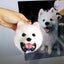 Custom Stuffed Animal of Your Dog Cat, Handmade Pet Plush Clone, Animal Replica Gift, Pet Loss Memorial, Cute Gift for Pet-Lover, Fur Baby